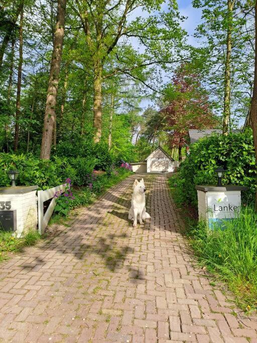 Lanke Garden Studio Rijsbergen Ngoại thất bức ảnh